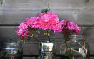Moneta di rame immersa in un vaso con fiori recisi per prolungarne la durata.