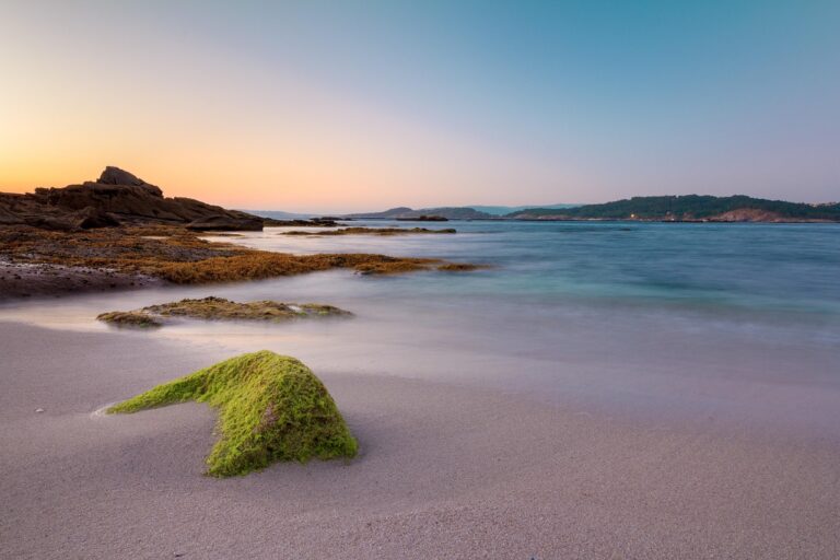 Vista panoramica della spiaggia rosa in Sardegna, con sabbia rosa e acque cristalline.
