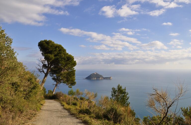 Spiaggia selvaggia dell'Isola d'Elba, con acque cristalline e natura incontaminata, ideale per momenti di relax.